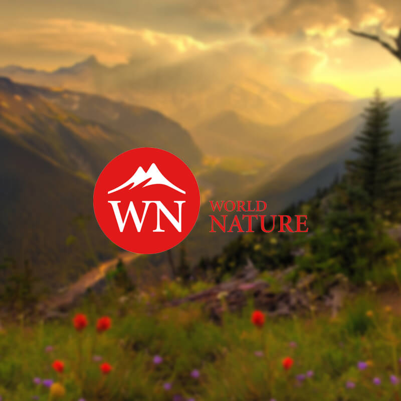 World Nature
